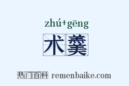 术羹是什么意思的图片